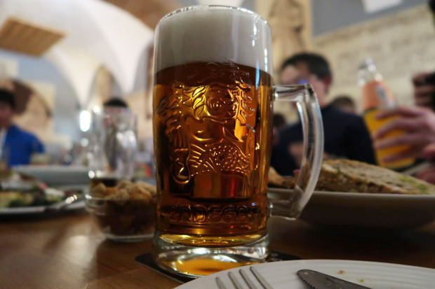 Radegast Ryze Hořká 12°