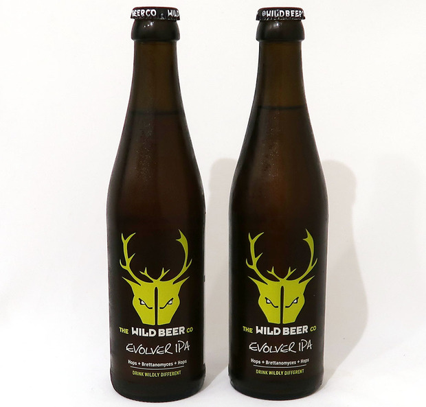 イギリス Wild Beer Co EVOLVER IPA ✕2