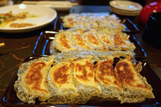 餃子いろいろ