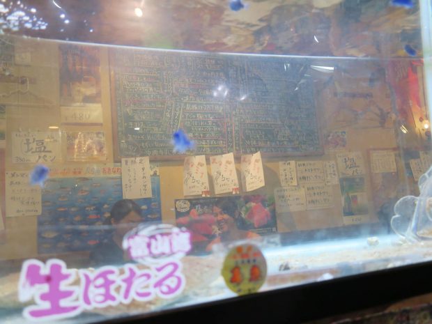 水槽の向こうには…