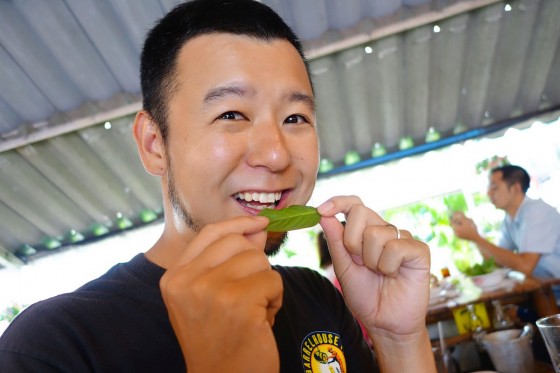 葉っぱを食べる