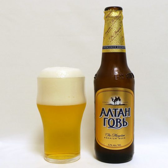 モンゴル Алтан Говь GoldenGobi