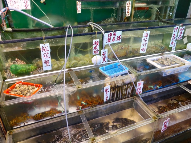 いろんな海鮮