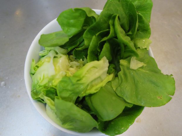 サラダ菜