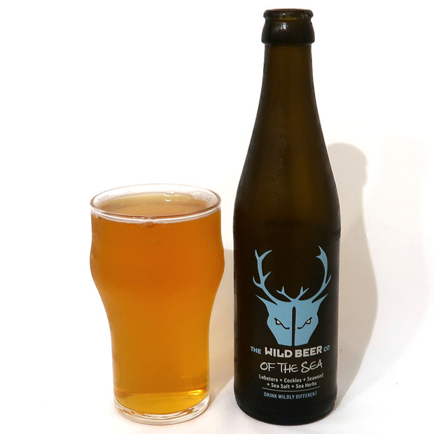 イギリス Wild Beer Co OF THE SEA