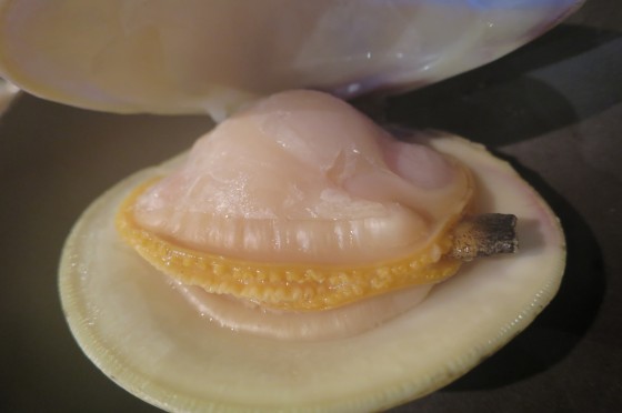 ハマグリ