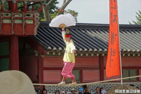 DSC03553_R