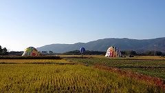 20181202_082733589