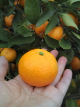 9527f3b9.jpg