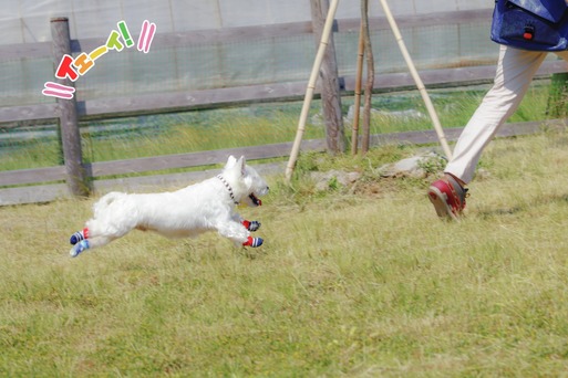 LRM_EXPORT_20180528_120008
