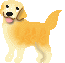 image2061