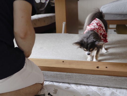 18-07-13-09-06-31-178_deco