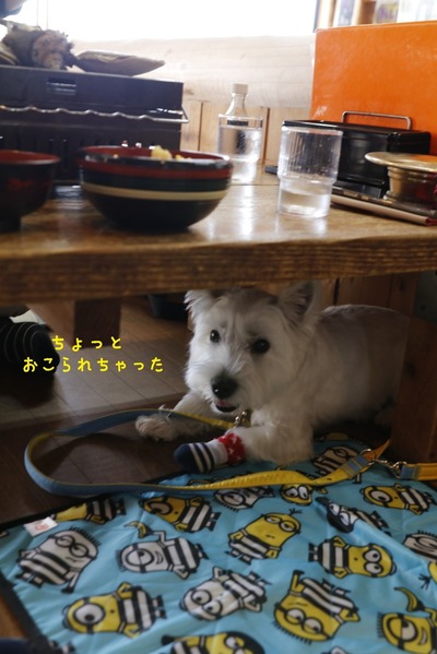 浜茶屋