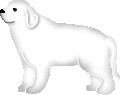 image4167