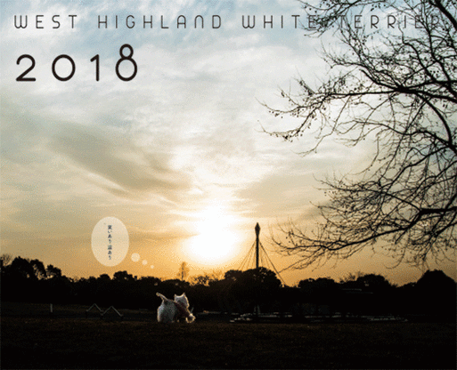 2018hyoshi