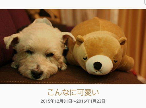 Screenshot_20180218-050940