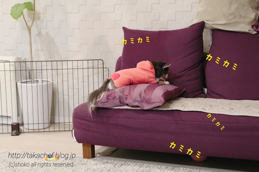 18-02-18-19-49-27-375_deco