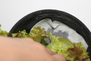 たかシェフのおうちごはん。-野菜の保存 たかシェフ野菜の保存 たかシェフ