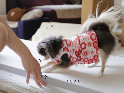 18-07-13-08-52-41-738_deco