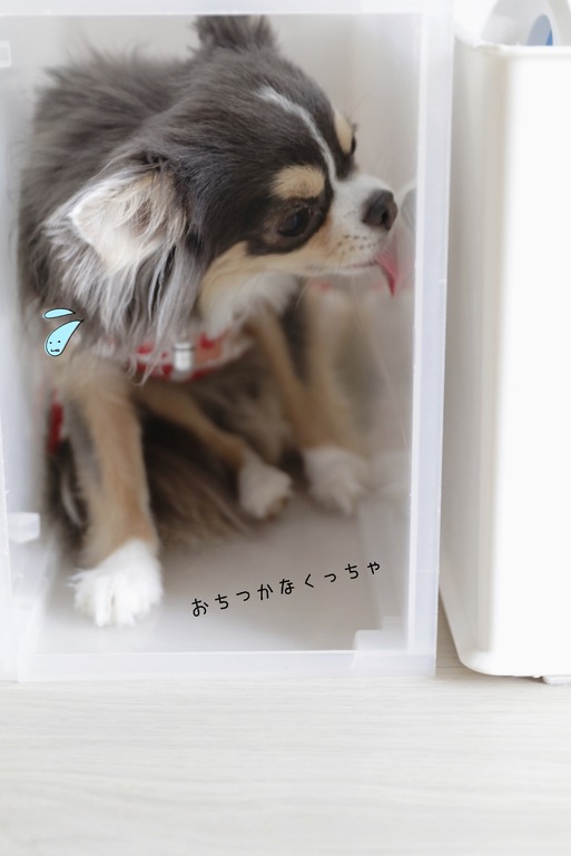 18-07-13-08-58-04-727_deco