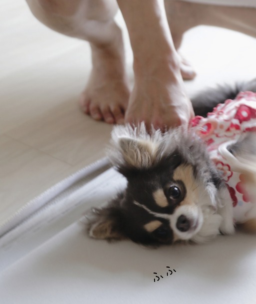 18-07-13-09-08-37-678_deco