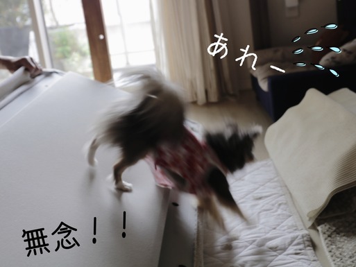 18-07-13-09-07-49-817_deco