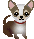 image3780