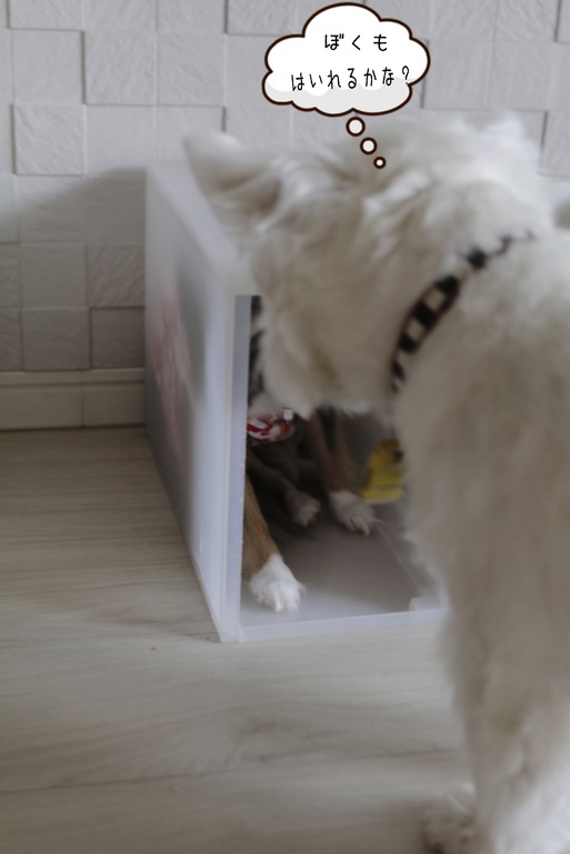 18-07-13-08-59-55-604_deco