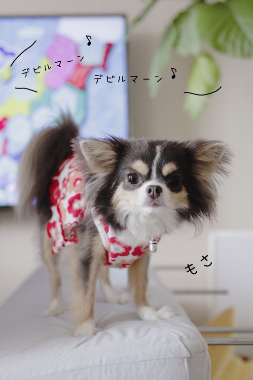 18-07-13-08-56-52-404_deco