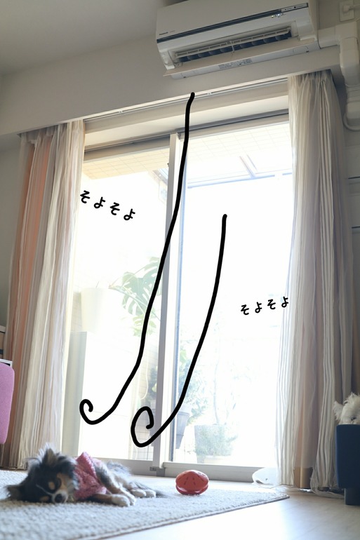 18-01-12-12-28-49-043_deco