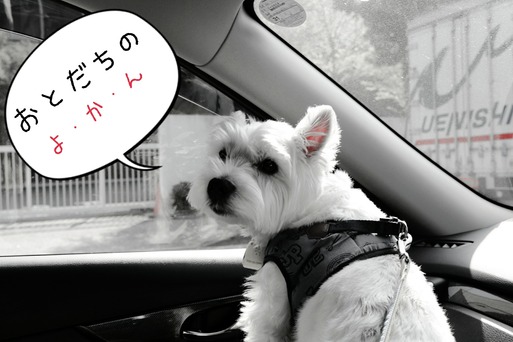 18-04-01-08-53-24-716_deco