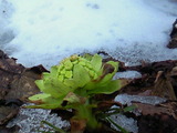 47f59f06.jpg
