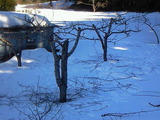 d9b85f6c.jpg