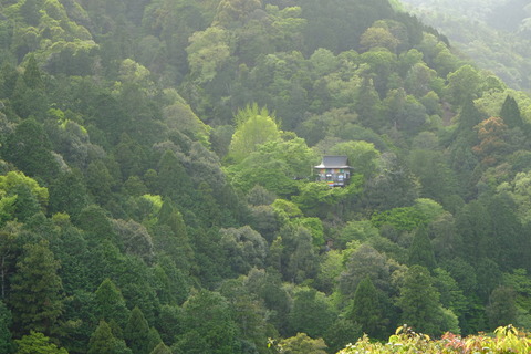 DSCF0117