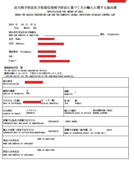 輸入に関する届出書