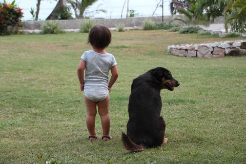 犬と佇む娘