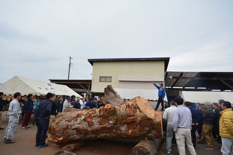s-南東北材木市場 写真