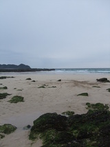 DSCF5189