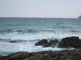DSCF5235