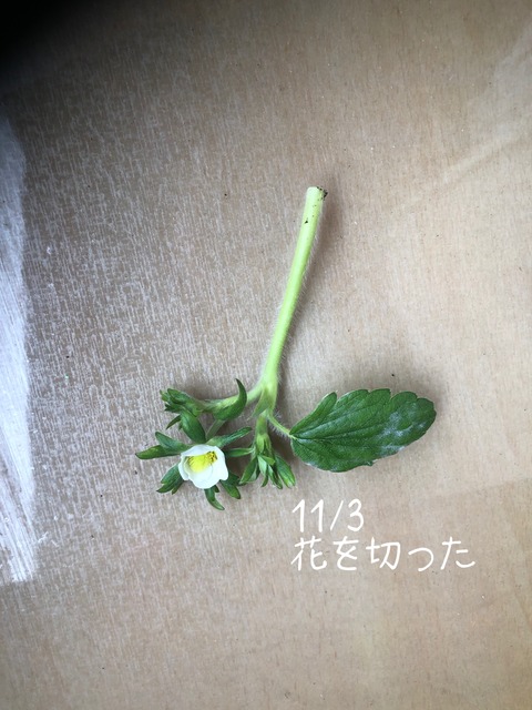 A3C9057C-750E-47EB-AD2B-22B25E81E76F