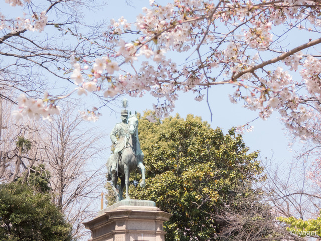 2017-04-04_桜_FZ85_上野公園-00011