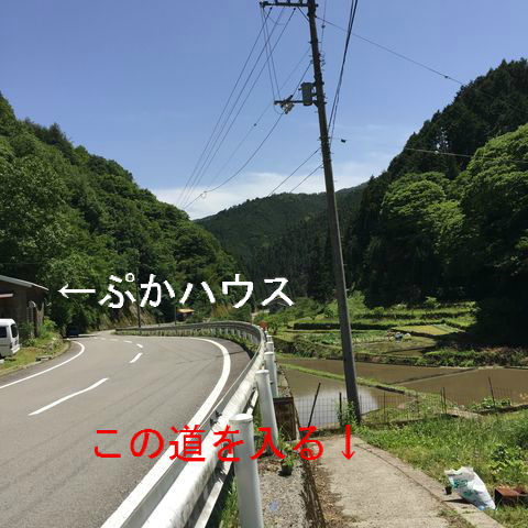 BlogPaint