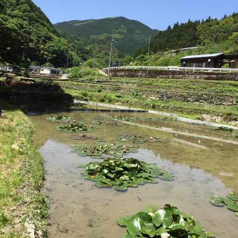 178A0E9B-A6FC-482F-9498-F24E700AA651