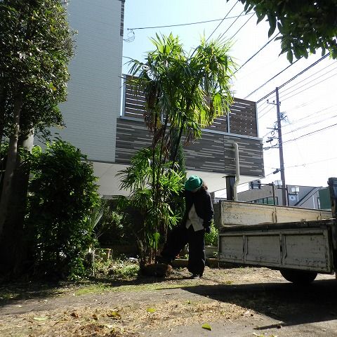 DSCN2493