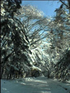 雪景色