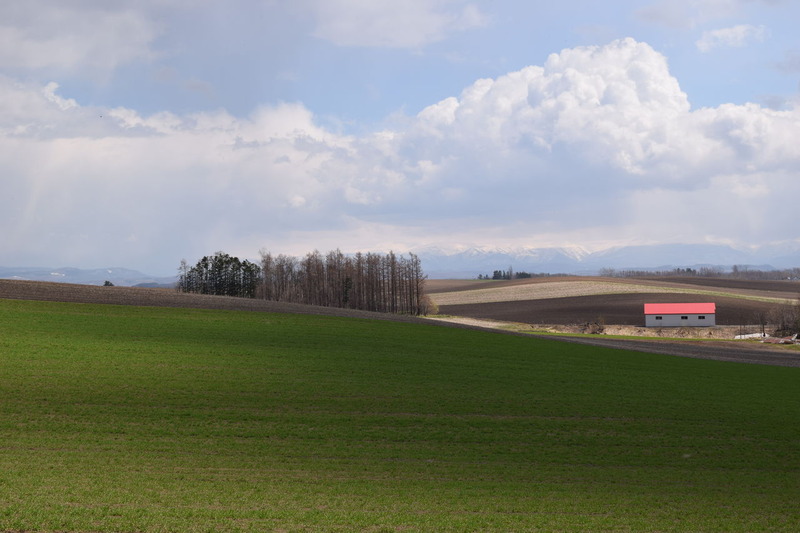 fotosukettiti