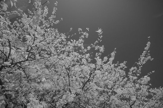 20170318-103925