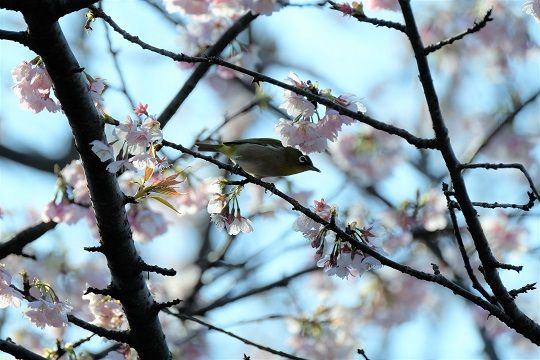 20170305-090817 (2)
