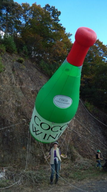DCF00101