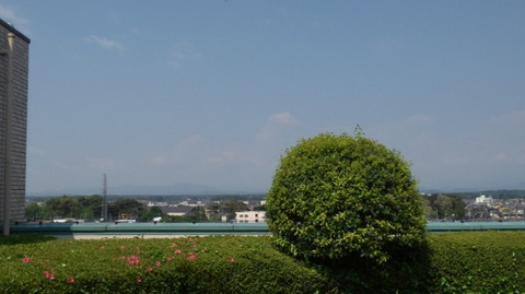 DCF00419